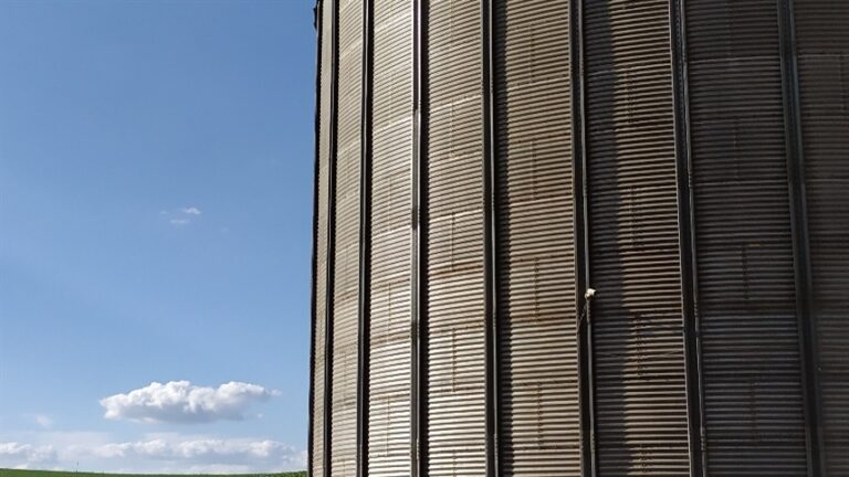 Empresa de tecnologia agrícola expande logística e entra em mercado internacional