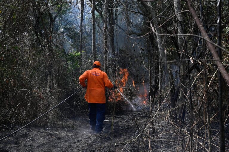 Defesa Civil alerta para risco de incêndios em vegetação em Campinas