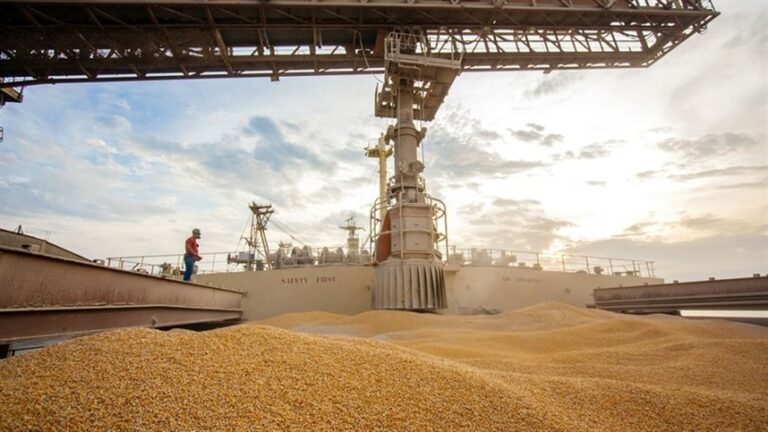 Agronegócio sul-americano amplia investimentos e exportações