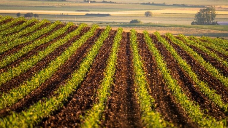 Receita Federal alerta produtores para prazo de entrega da declaração do ITR