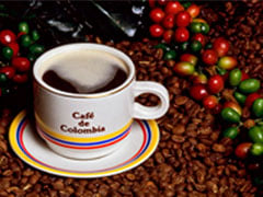 Colômbia registra queda de 23% na produção de café em julho