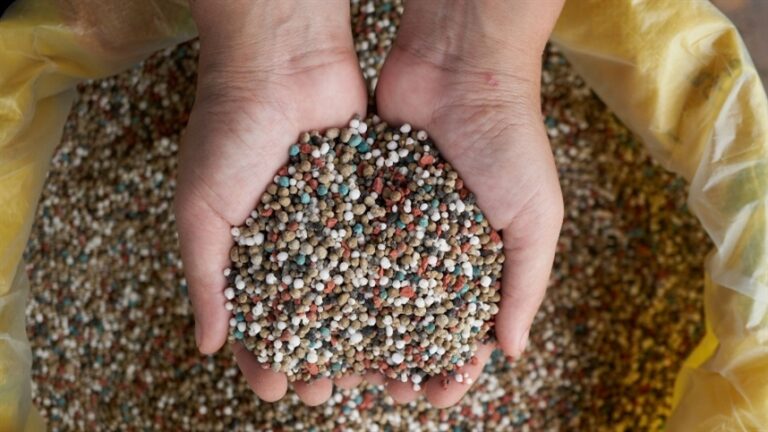 China amplia rede de fertilizantes com 100 depósitos até 2030
