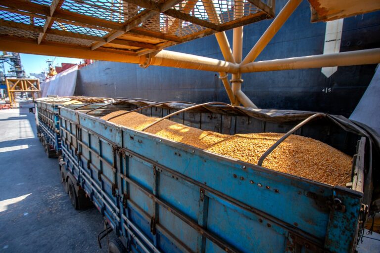 Brasil exporta 2,2 milhões de toneladas de milho em dez dias de agosto