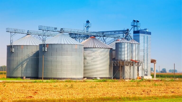 Gestão de estoques ganha peso com juros altos no agronegócio