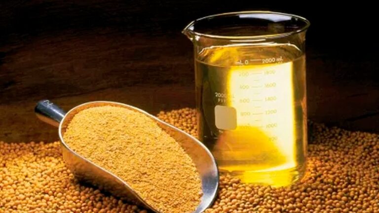 Cooperativas iniciam operações de esmagadora de soja em Ponta Grossa