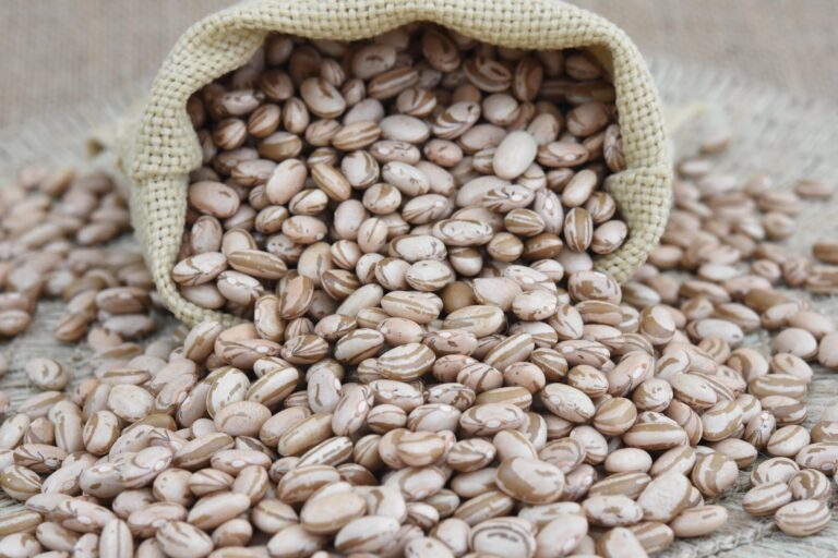 Feijão e legumes lideram alta de preços em alimentos essenciais