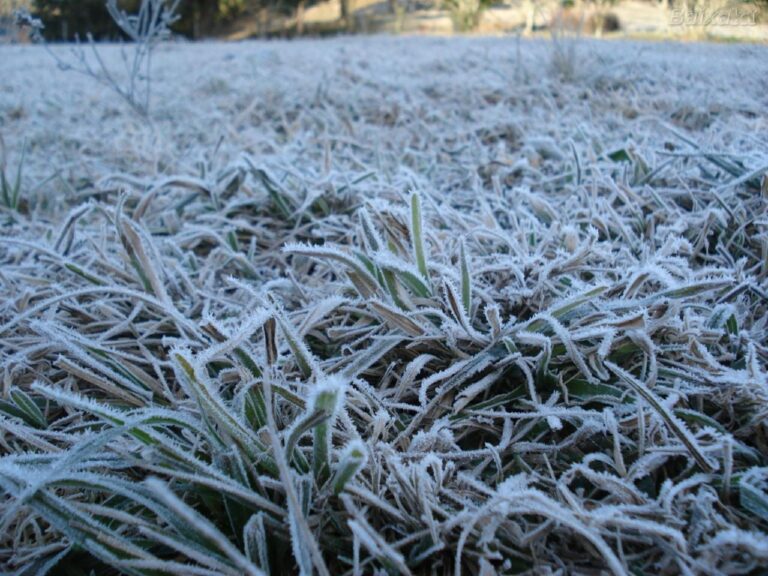Massa de ar frio mantém temperaturas negativas no Sul e favorece geadas