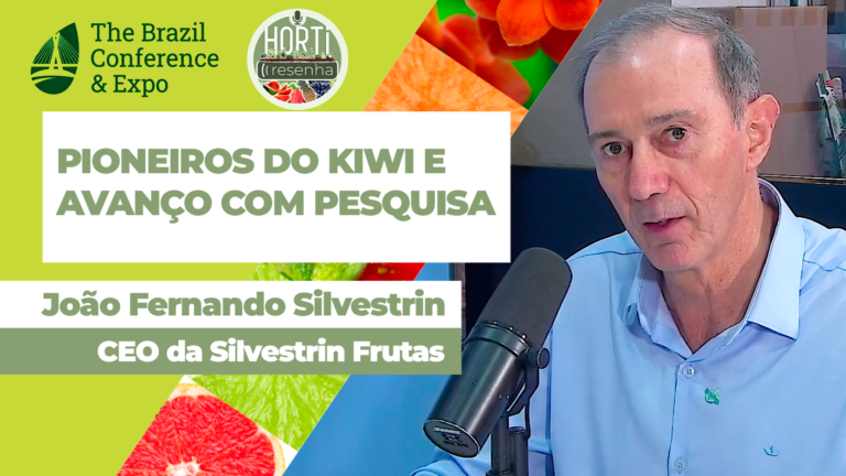 Irmãos Silvestrin ampliam produção de frutas no Rio Grande do Sul e abastecem todo o país