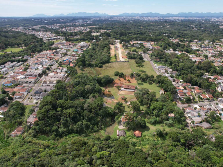Curitiba amplia floresta urbana com plantio de mudas nativas no sábado