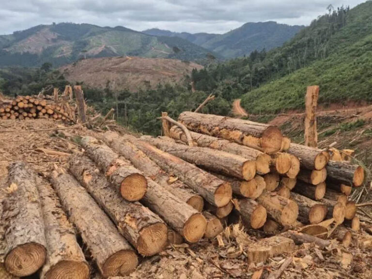 Dívida de R$ 198 mil do Paraná vira disputa que pode custar R$ 1 bilhão