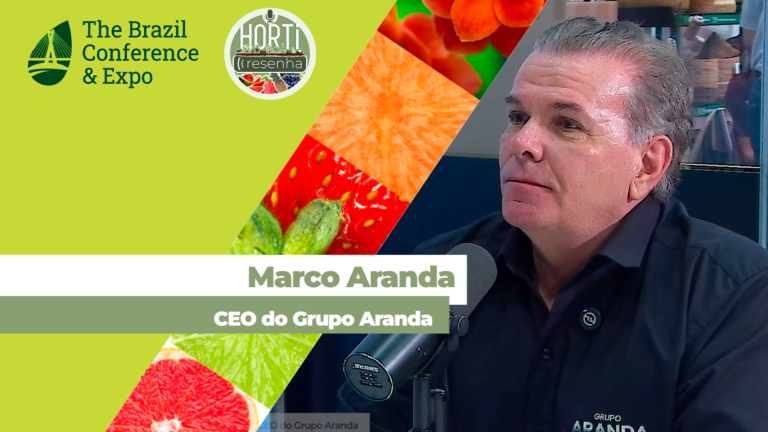 Empresa paulista aposta em logística especializada para reduzir perdas de frutas e hortaliças