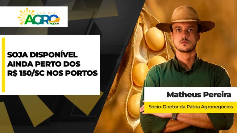 Soja disponível nos portos brasileiros segue próxima de R$ 150 por saca