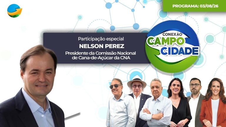 Produtores de cana testam plantio direto para reduzir custos
