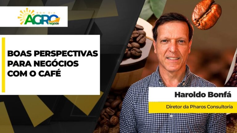 Safra de café enfrenta volatilidade, mas demanda segue forte
