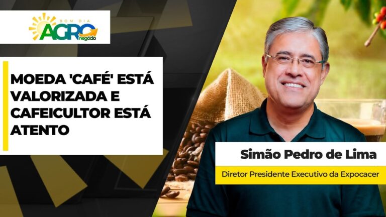 Cafeicultores avançam vendas aproveitando bom momento de preços