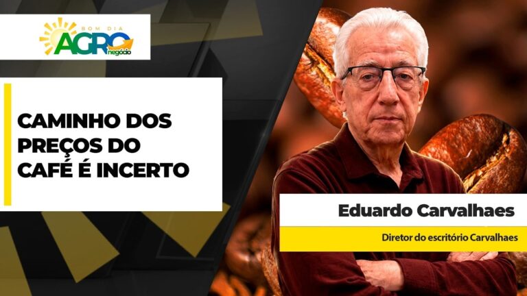 Cafeicultores freiam vendas com preços voláteis e clima preocupante em 2027