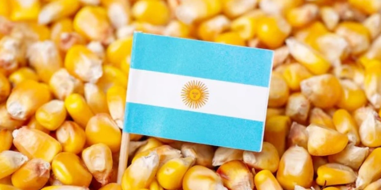 Argentina exporta recorde de 5,14 milhões de toneladas de milho em julho