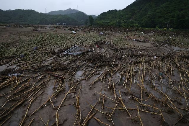 Caos climático na China ameaça safras e eleva preços de soja e milho no Brasil