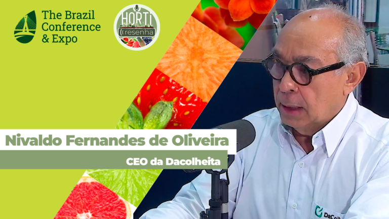 Setor de hortifrúti investe em embalagens para melhorar transporte internacional