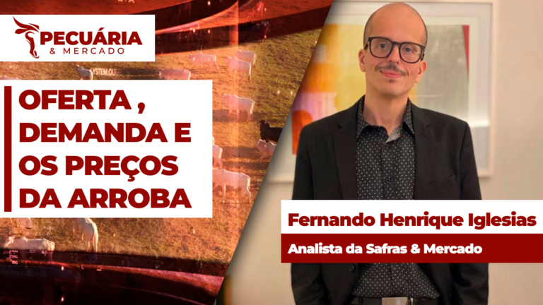 Safras & Mercado aponta queda de 21,6% nos abates de gado em julho
