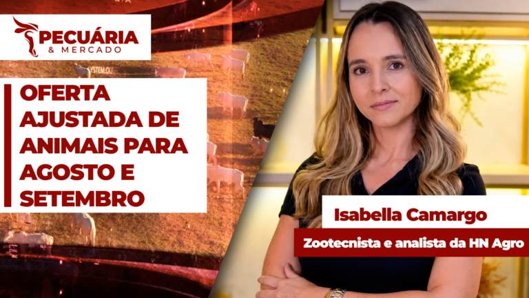 HN Agro vê potencial de recuperação de preços da arroba no último trimestre