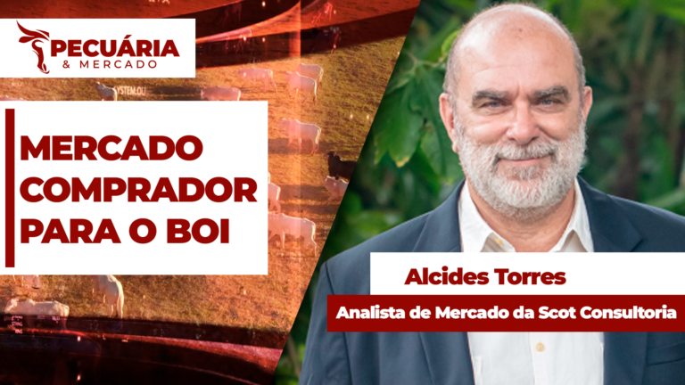 Equilíbrio entre oferta e demanda sustenta preços firmes da arroba