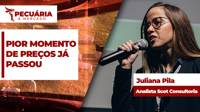 Oferta de animais vai direcionar preços da arroba diante da redução nas demandas