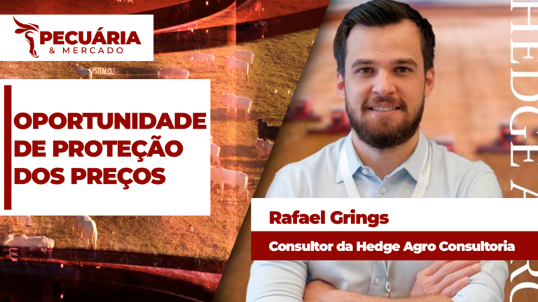 Alta da arroba no mercado futuro oferece melhor momento do ano para proteção de preços