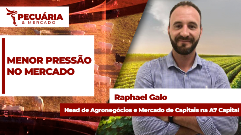 EUA podem aumentar compras de carne bovina do Brasil com redução de tarifas