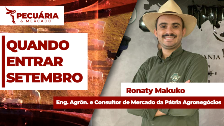 Oferta restrita mantém boi em alta, mas setembro exige atenção