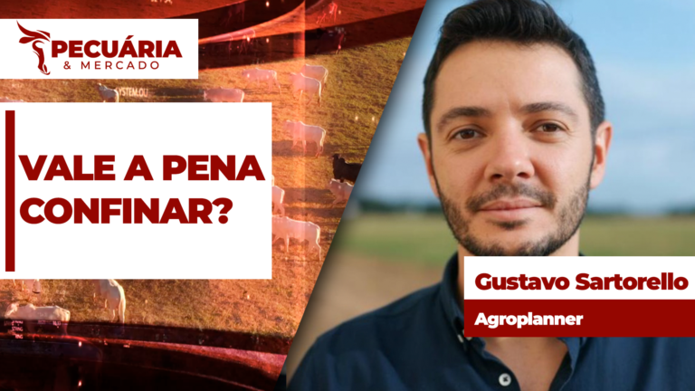 Custo da arroba bovina atinge menor nível desde novembro de 2024