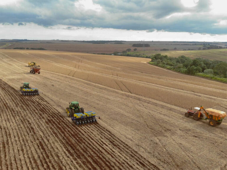 Paraná bate recorde com produção agropecuária de R$ 213 bilhões em 2025