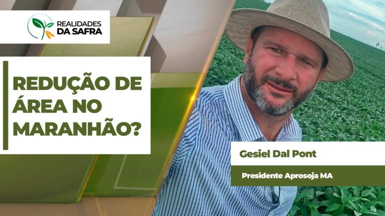 Maranhão corre risco de reduzir área plantada com soja na safra 2026/27