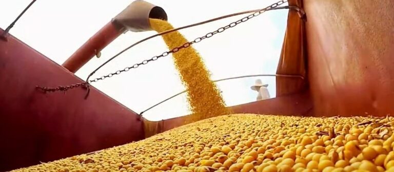 Yara Brasil apresenta novas tecnologias para aumentar eficiência em fertilizantes de soja