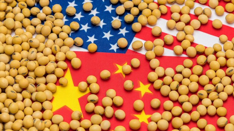 USDA anuncia segunda venda de soja para a China em uma semana
