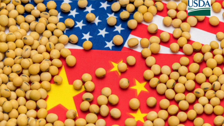 China compra mais 488 mil toneladas de soja dos EUA