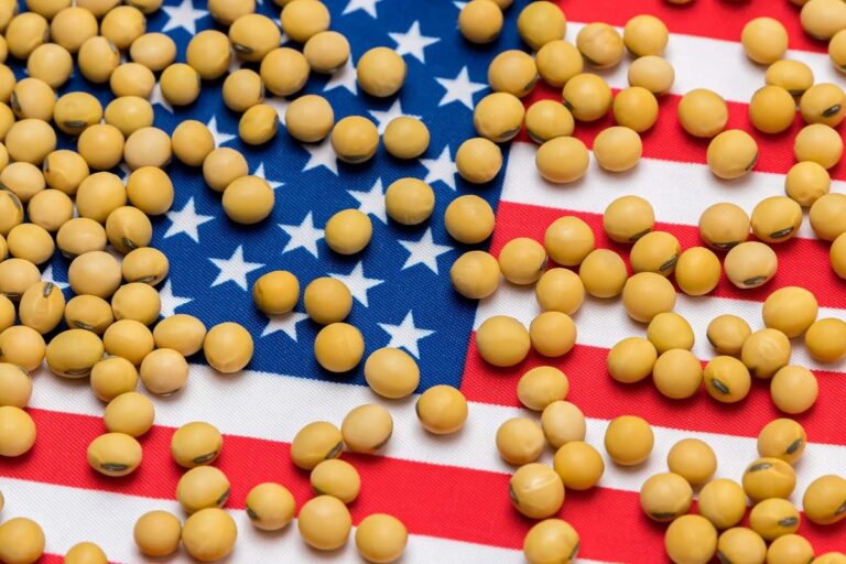 China intensifica compras de soja americana para embarques em outubro