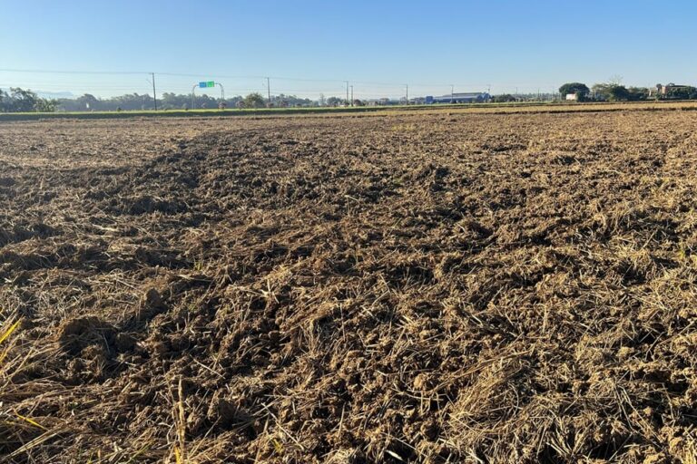 Sistema FAEP e IDR-Paraná promovem dia de campo sobre conservação de solo em Toledo