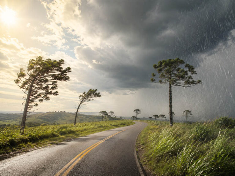 Paraná terá fim de semana com calor, vento e avanço de chuva