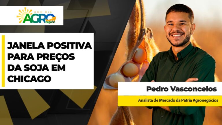 Produtores brasileiros monitoram preços de soja com dólar em alta e demanda chinesa