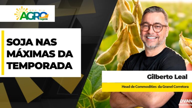 Soja atinge máximas da temporada em interior e portos brasileiros