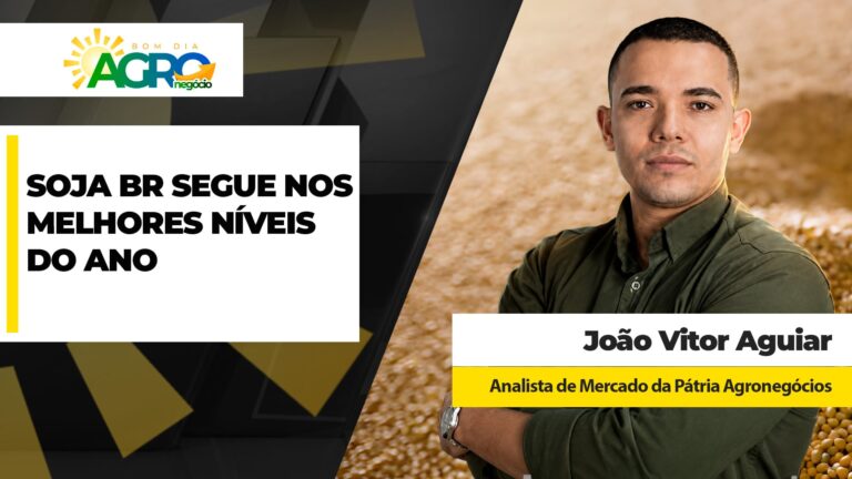 Soja sobe em Chicago e sustenta preços nos melhores patamares do ano no Brasil