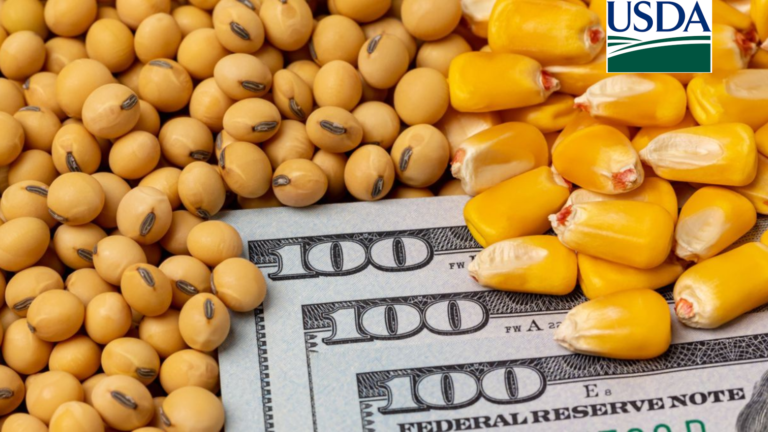 USDA divulga embarques semanais com soja abaixo e milho acima do esperado