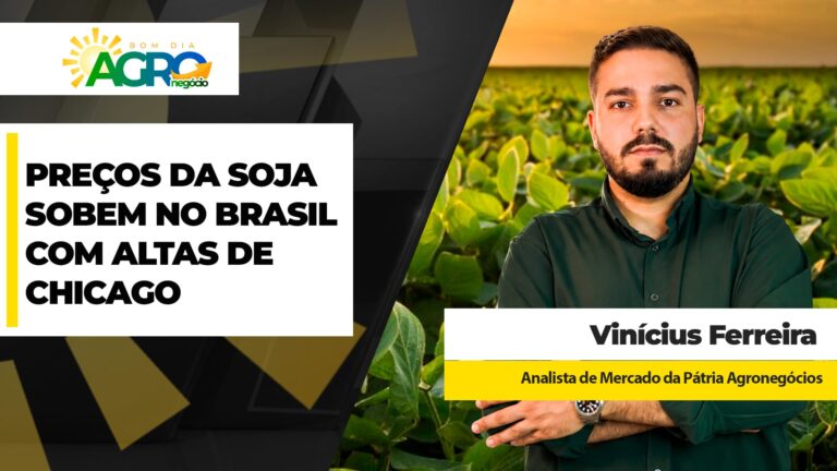 Produtores aproveitam altas de soja em Chicago e avançam com comercialização