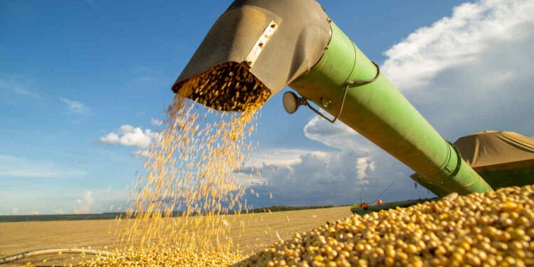 Commodities agrícolas reagem com alta após pressão de margens nos EUA