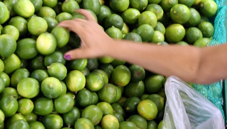 IPC-Fipe sobe 0,26% na primeira quadrissemana de setembro
