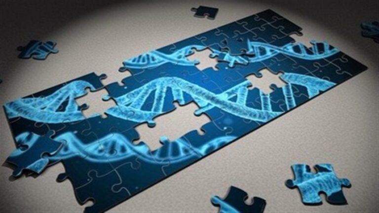 CTNBio autoriza Bioma a usar OGMs em produção industrial de bioinsumos