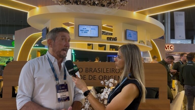 Abrapa alerta sobre risco de microplásticos de roupas sintéticas à saúde