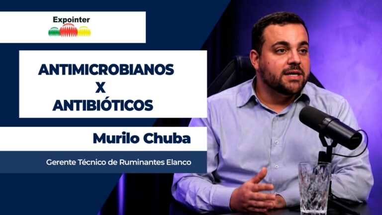 UE suspende exportações de carne bovina brasileira por uso de antimicrobianos