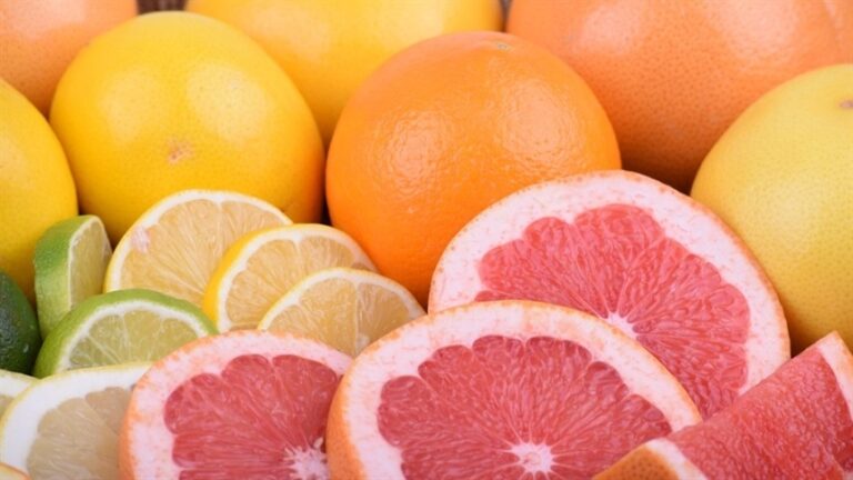 Cepea registra queda da laranja pera e valorização da lima ácida tahiti em agosto